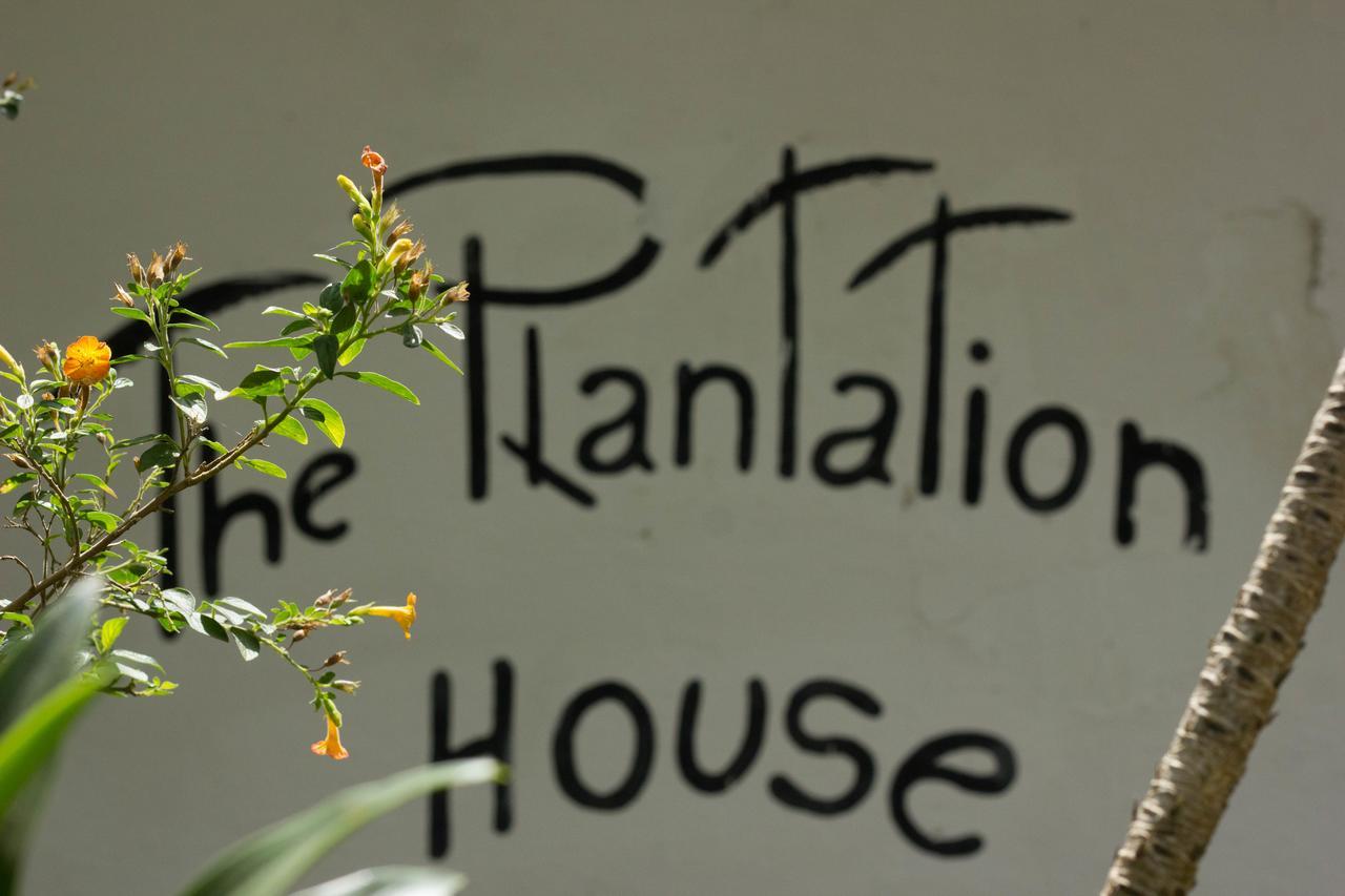 The Plantation House Travellers Hostel Salento Exterior photo